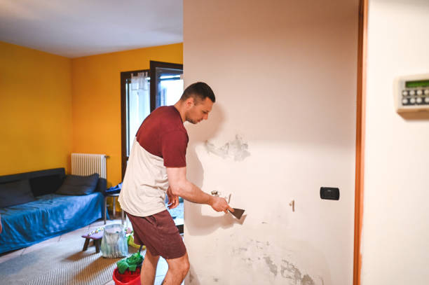 Best Mold Removal Near Me  in Maplewood, MN